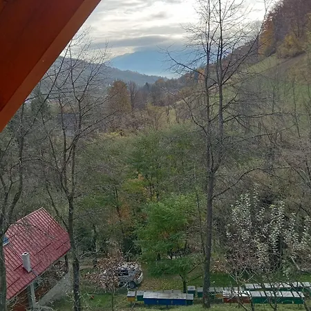Ulmului Lodge Viseu de Sus