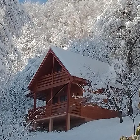 Ulmului Viseu de Sus
