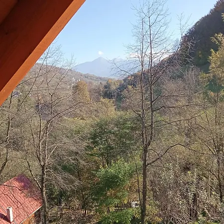 Ulmului *