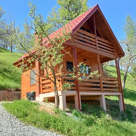 Ulmului Lodge Viseu de Sus